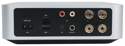 WIIM AMP Silver