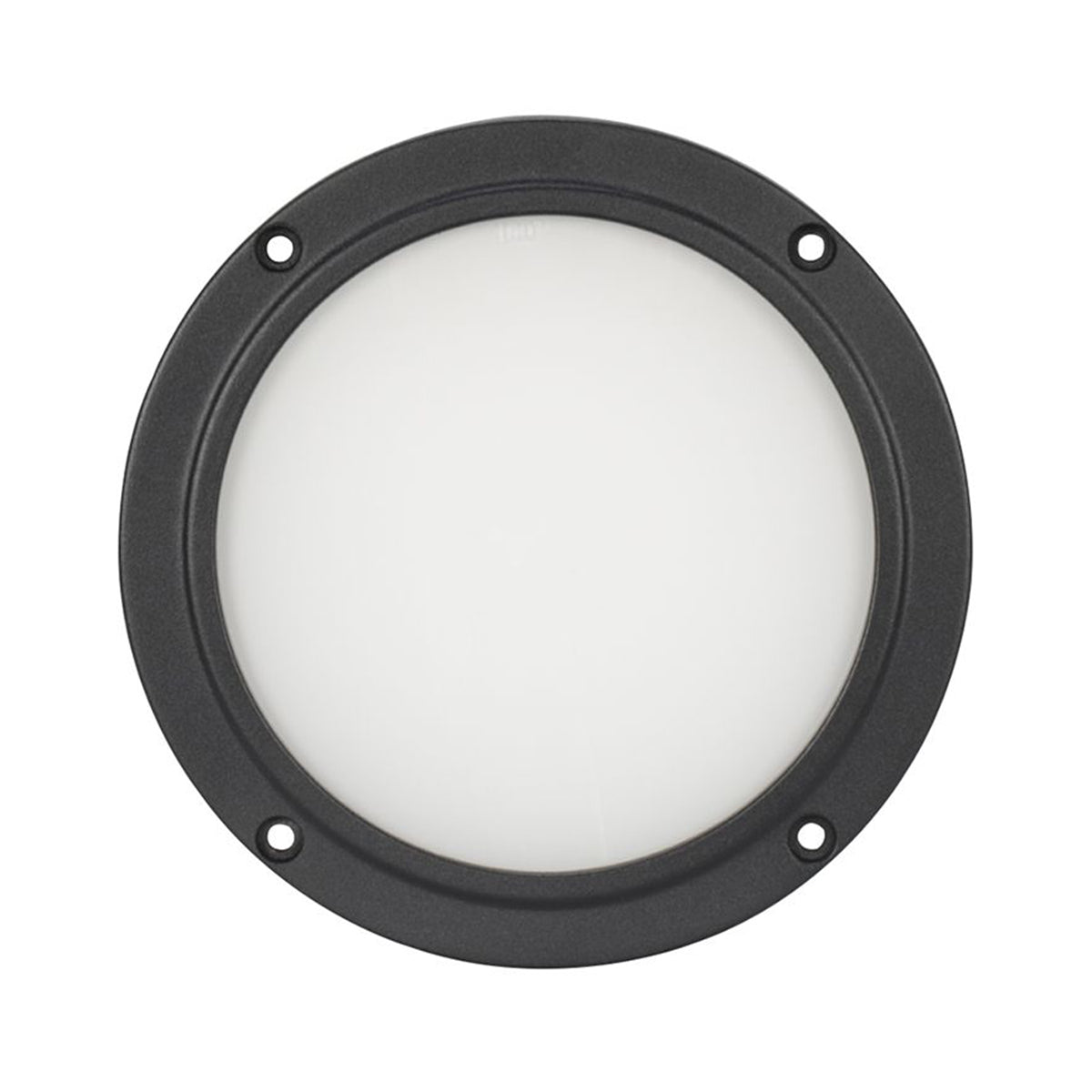 Encore LP5IP IP65 RGBL LED DMX Wash Light + 100-Degree Frost Filter