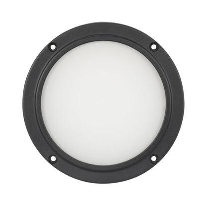 Encore LP5IP IP65 RGBL LED DMX Wash Light + 100-Degree Frost Filter