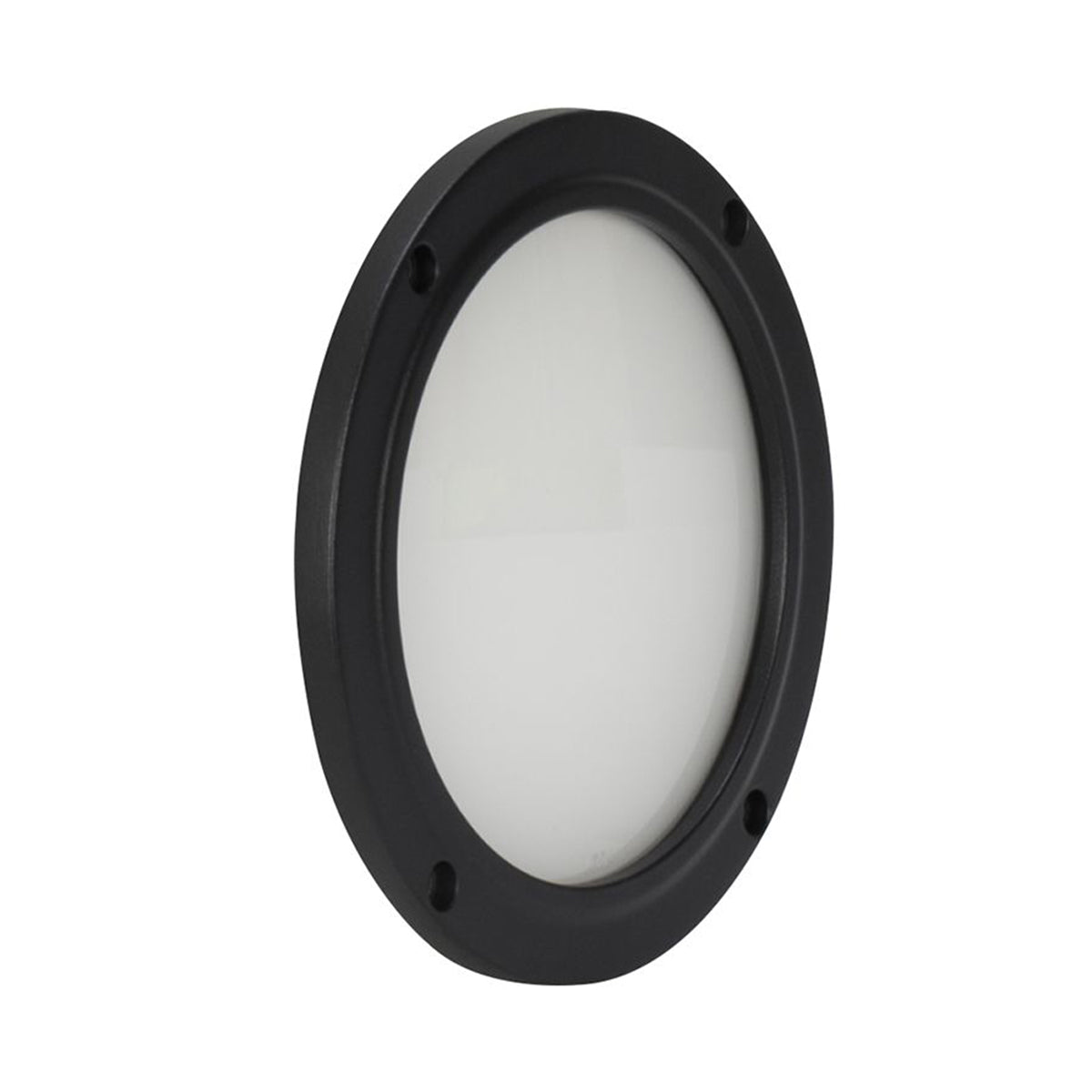 Encore LP5IP IP65 RGBL LED DMX Wash Light + 100-Degree Frost Filter