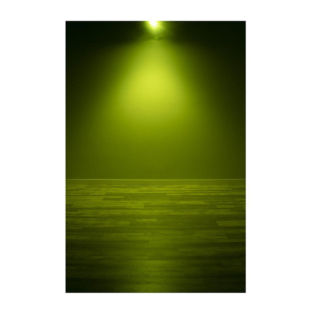 Encore LP5IP IP65 RGBL LED DMX Wash Light + 100-Degree Frost Filter