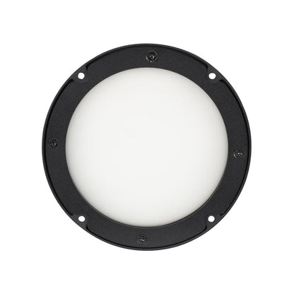 Encore LP5IP IP65 RGBL LED DMX Wash Light + 30x60-Degree Frost Filter