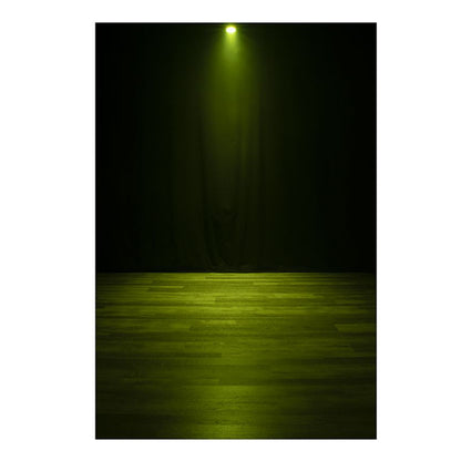Encore LP5IP IP65 RGBL LED DMX Wash Light + 30x60-Degree Frost Filter