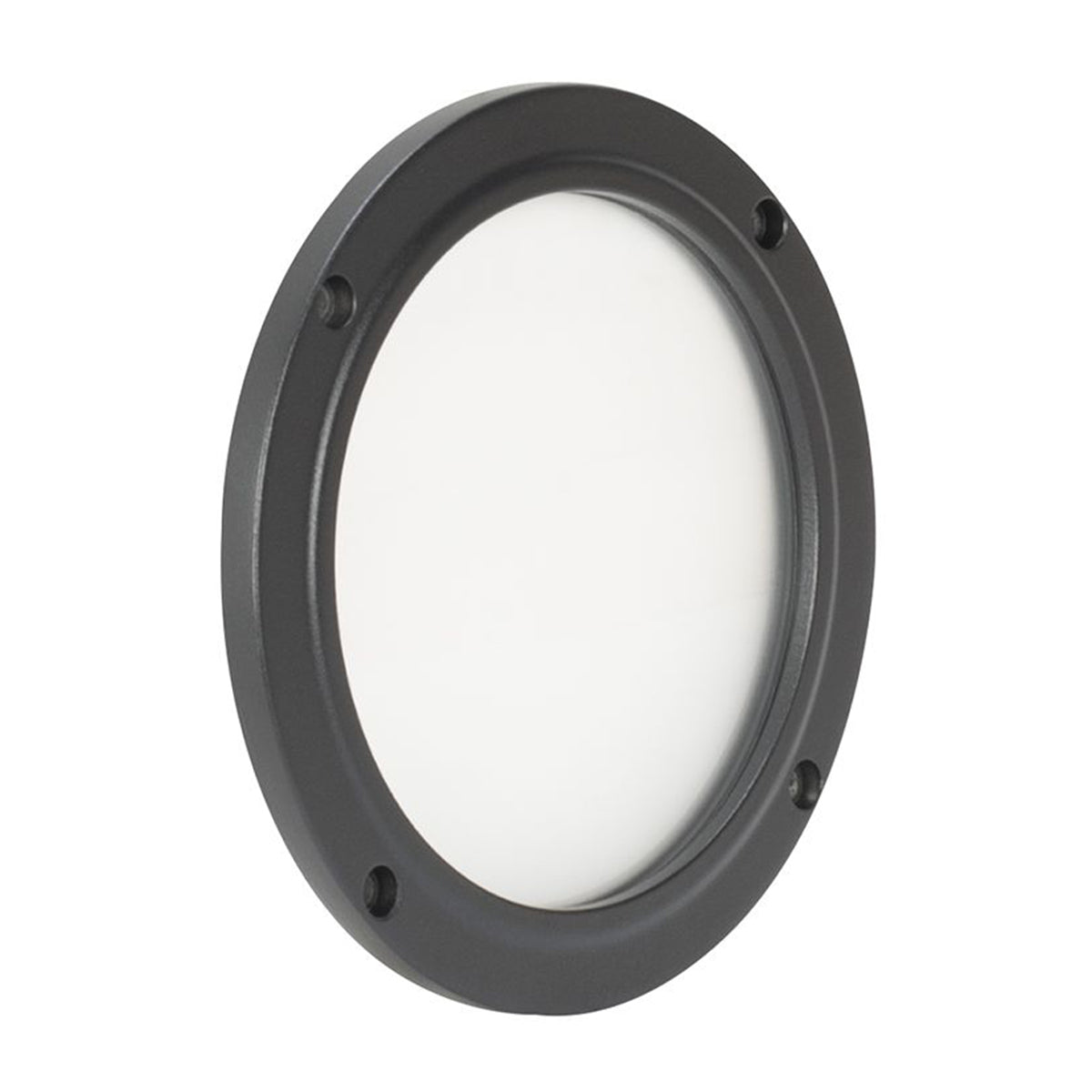 Encore LP5IP IP65 RGBL LED DMX Wash Light + 20-Degree Frost Filter