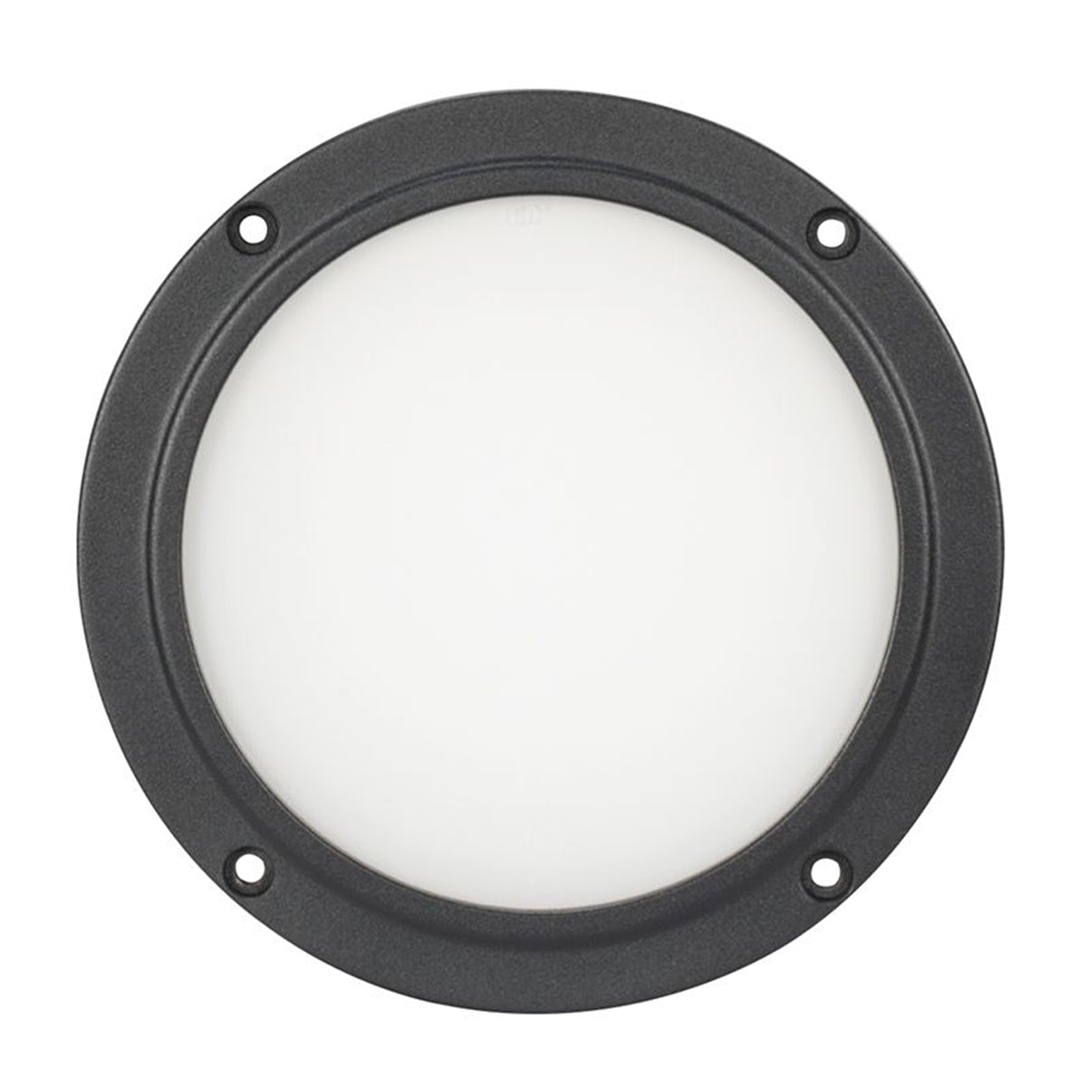 Encore LP5IP IP65 RGBL LED DMX Wash Light + 60-Degree Frost Filter