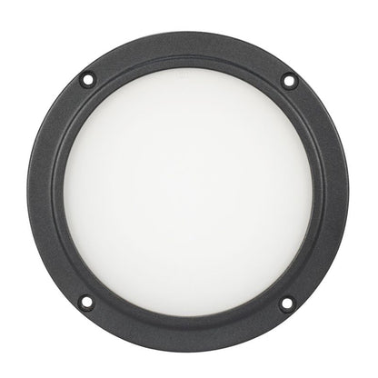 Encore LP5IP IP65 RGBL LED DMX Wash Light + 60-Degree Frost Filter