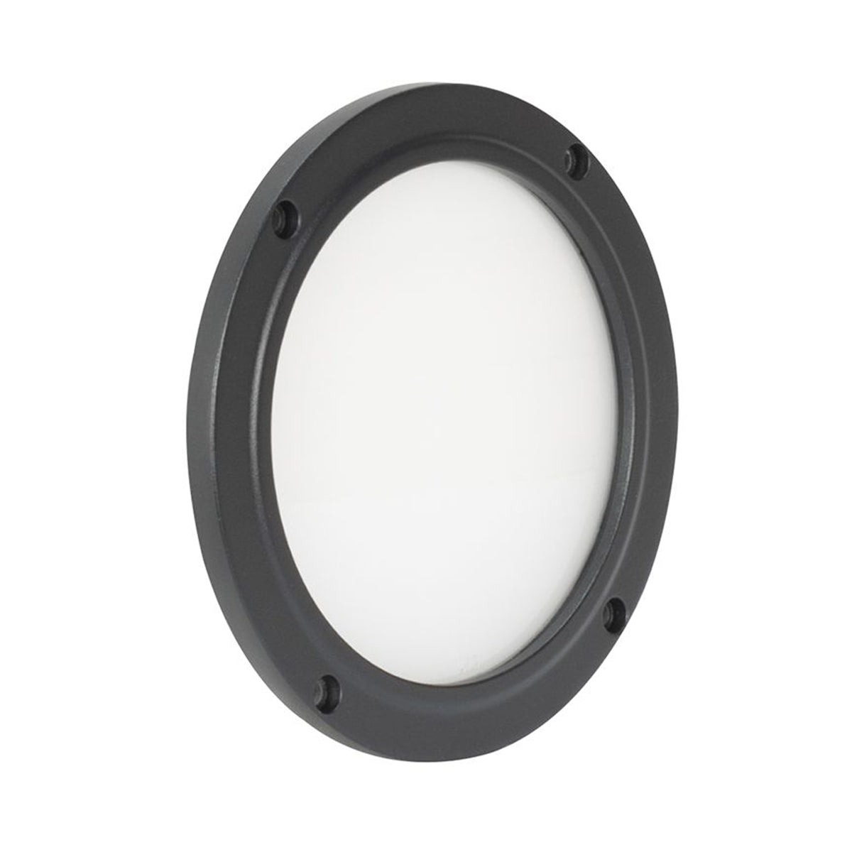 Encore LP5IP IP65 RGBL LED DMX Wash Light + 60-Degree Frost Filter