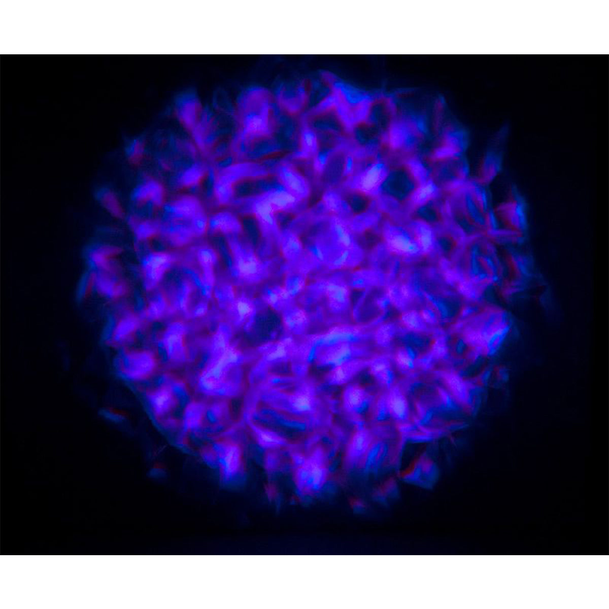 Aqua LED 2.0 50W COB Multi-Colored Water Flowing Effect LED Light