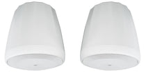 2 Control 60PS/T Commercial 70V White Hanging Pendant Subwoofers