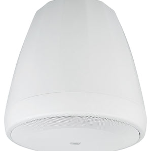 Pair JBL Control 67 P/T 6.5" 60w Commercial 70v White Pendant Speakers C67P/T-WH