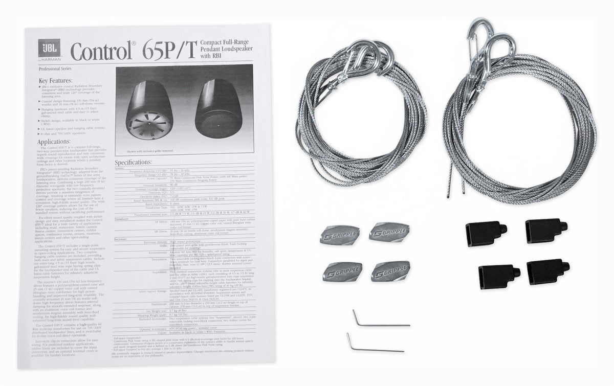 Control 65P/T-WH White 5.25" 70V Pendant Speaker Pair