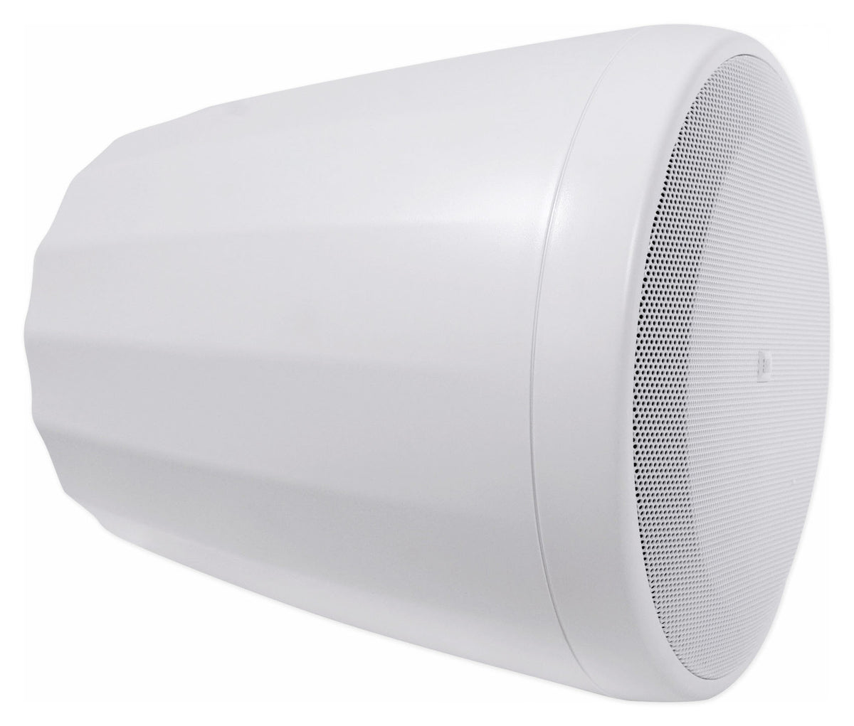 Control 65P/T-WH White 5.25" 70V Pendant Speaker Pair