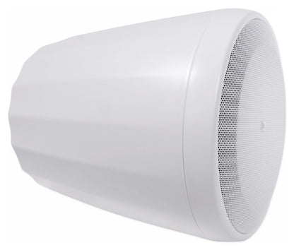 Control 65P/T-WH White 5.25" 70V Pendant Speaker Pair