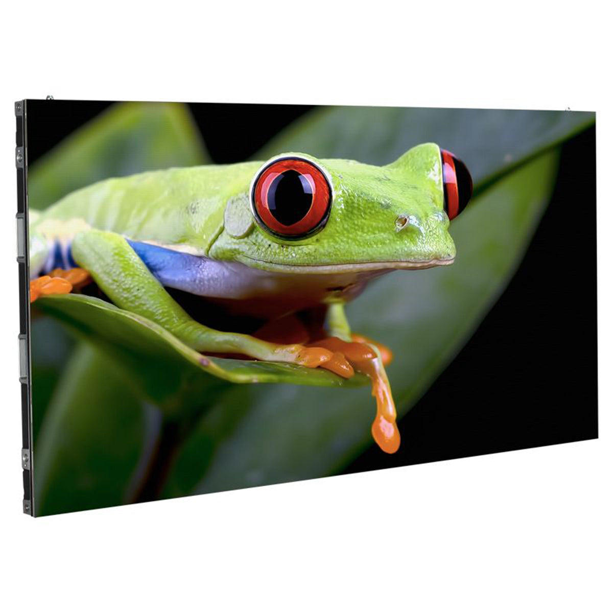ADJ WMS2 High-Resolution RGB SMD1515 LEDs Novastar A8s-N Video Panel