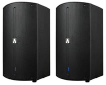 (2) A12X