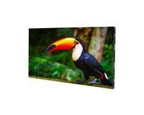 American DJ WMS1 1.9mm Pixel Pitch RGB SMD1212 LED Video Panel