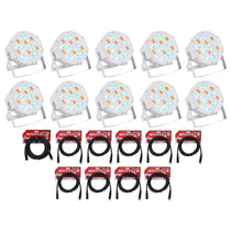 RockPAR50 White 10-Pack + DMX Cables Bundle