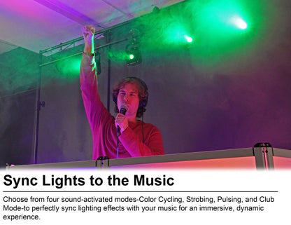 MINI RF1 V3 BLACK 12-Pack