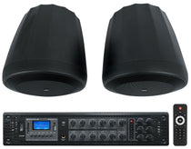 C60PS/T Pendant Subwoofer Pair with RCS350-6 6-Zone Amplifier