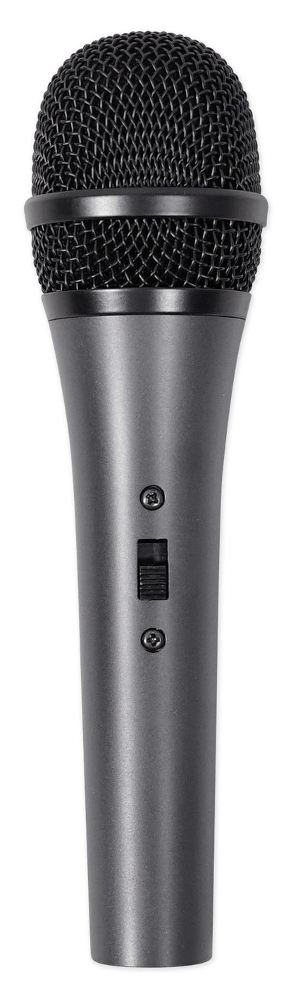 Dual 8" Phone/iPad/Laptop Youtube Karaoke Machine/System mit Wireless Mics