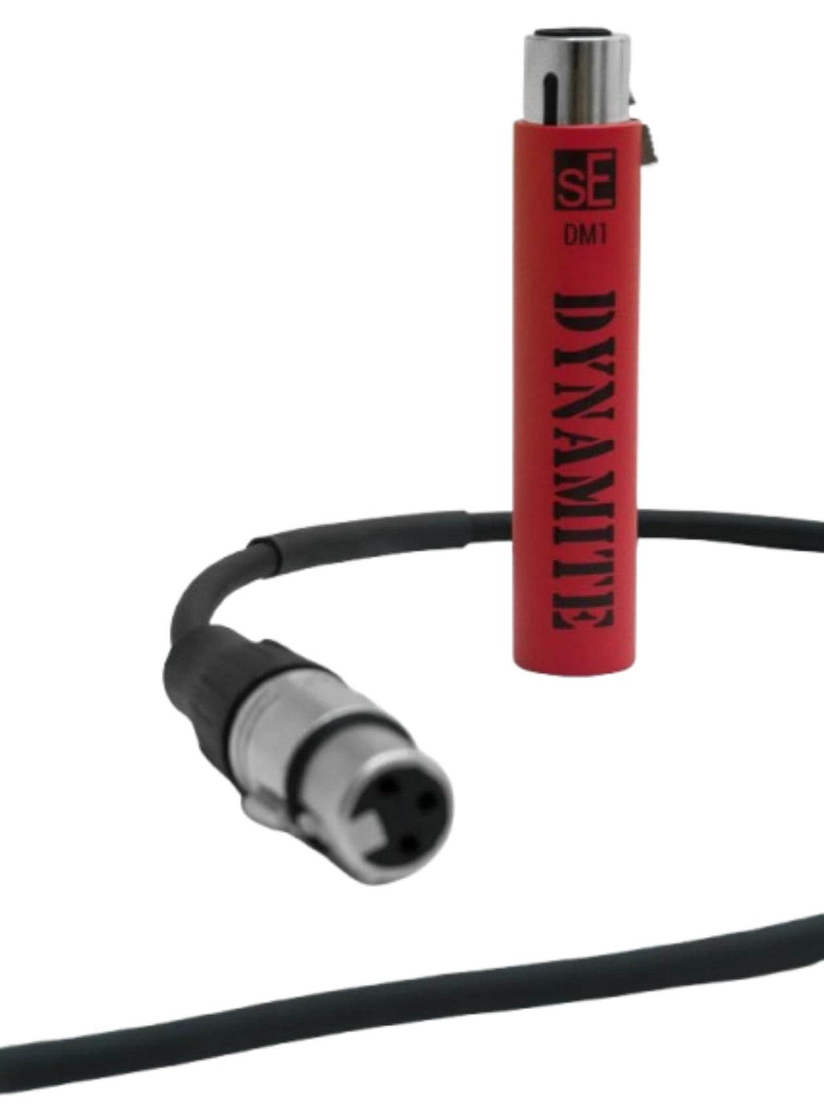 DM1