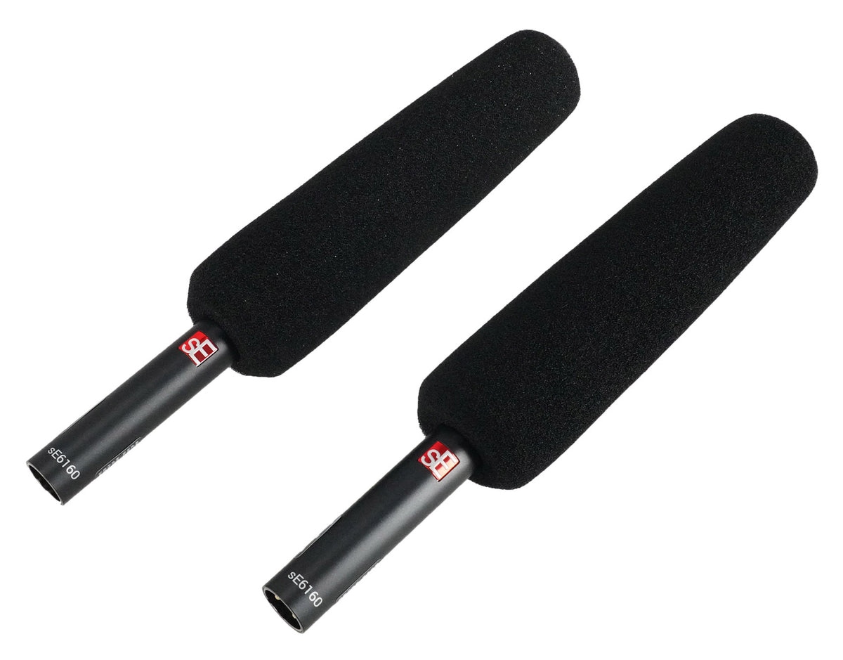 sE6160 Pair