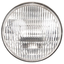 American DJ ADJ LL-300PAR56M 300 Watt PAR56 Medium Beam Angle Sealed Lamp