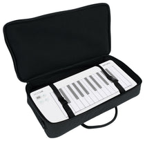 MICROLAB MK3 WHITE+MCB22