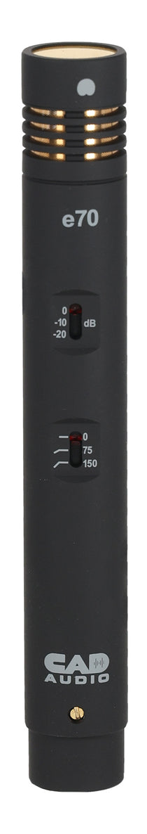 E70 Equitek Dual-Capsule Condenser Microphone