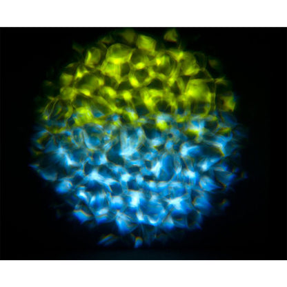 Aqua LED 2.0 50W COB Water Flowing Effect Light With Bluetooth Speaker