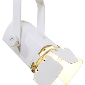 Chauvet DJ EVE TF-20 LED Par Wash Church Stage Light Lighting Fixture - White