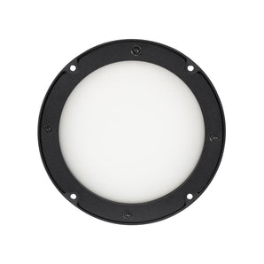 American DJ Encore LP5IP IP65 RGBL LED DMX Wash Light+30x60 Degree Frost Filter