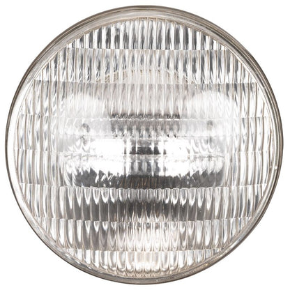 American DJ ADJ LL-500PAR64M 500 Watt PAR64 Medium Beam Angle Sealed Lamp