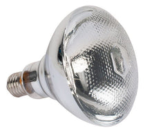 American DJ LL PAR38 150W Halogen Replacement Lamp For PAR-38BL Big Screw Socket