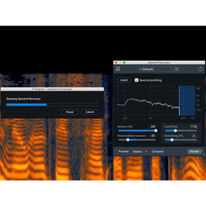 Izotope Rx 8 Advanced Professional Complete Audio Repair Software