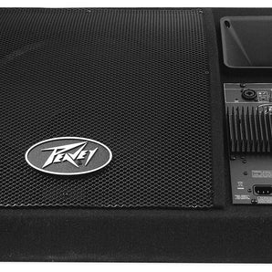 Peavey PV 15PM 15" 200 Watt Bi-Amped 2-Way Powered Floor Monitor PV15PM+Blue Mic