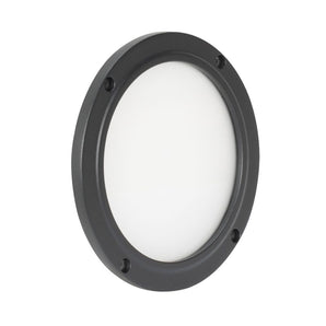 American DJ Encore LP5IP IP65 RGBL LED DMX Wash Light+60° Degree Frost Filter