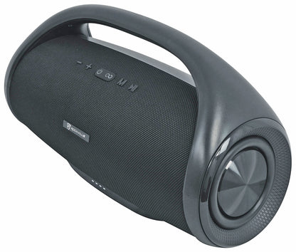 51KFDL7T102 Dual 10" Subwoofer Enclosure & CANON-XXL Bluetooth Speaker