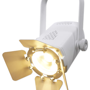 Chauvet DJ EVE TF-20 LED Par Wash Stage Light Fresnal Lighting Fixture - White