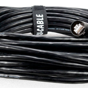 American DJ CAT6PRO50FC 50 Foot 24 AWG 8 Conductor EtherCON CAT 6 First Cable