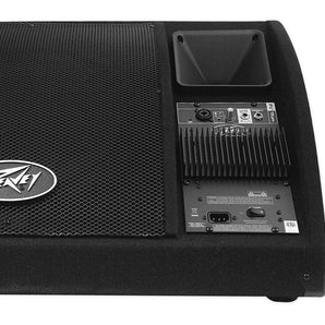 Peavey PV 15PM 15" 200 Watt Bi-Amped 2-Way Powered Floor Monitor PV15PM+Blue Mic