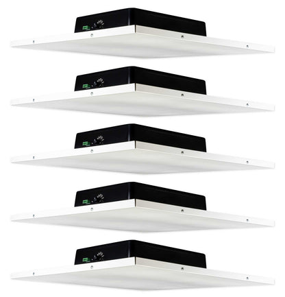 DCS8Twall 5-Pack