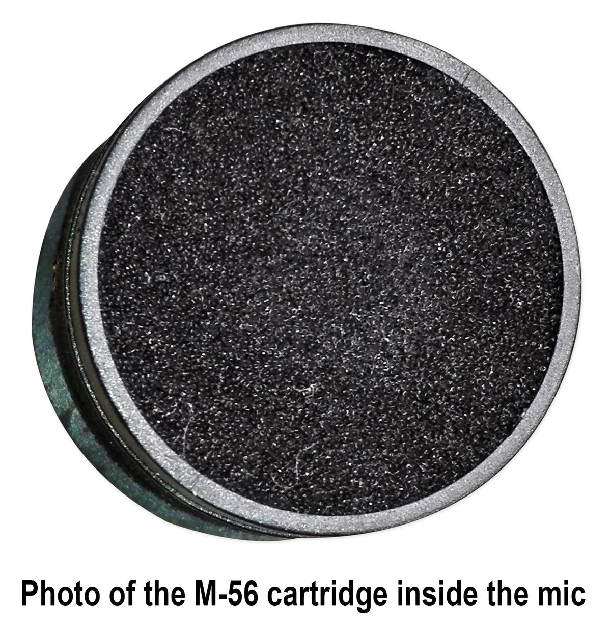 ELITE PARTY 65 + RMC-XLR Microphone + iStand 20 Bundle
