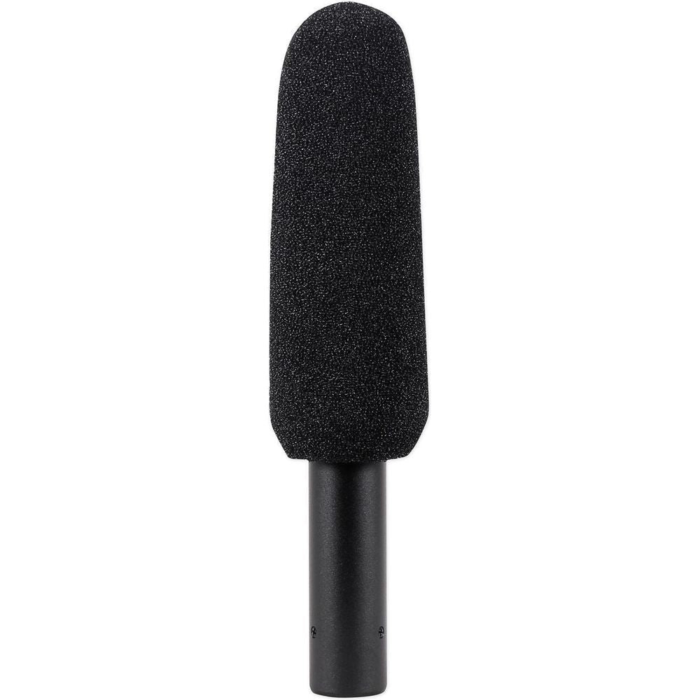 Audio Technica AT875R Short Shotgun Condenser Microphone w/ Line+Gradient DV Mic