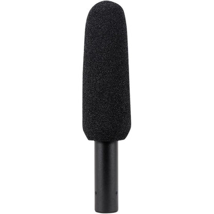Audio Technica AT875R Short Shotgun Condenser Microphone w/ Line+Gradient DV Mic