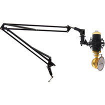 RCM02 Studio Recording Condenser Microphone Mic+Boom Arm+Desk Clamp