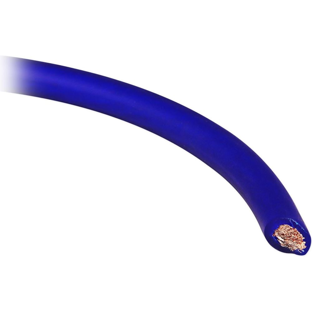 Punisher 10D2 2-Pack + dB16 Mono Amplifier Bundle