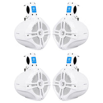 RWB65W 2-Pair