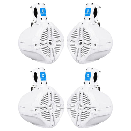 RWB65W 2-Pair