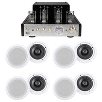 BluTube SG Tube Amplifier + (8) 6.5" White Ceiling Speakers
